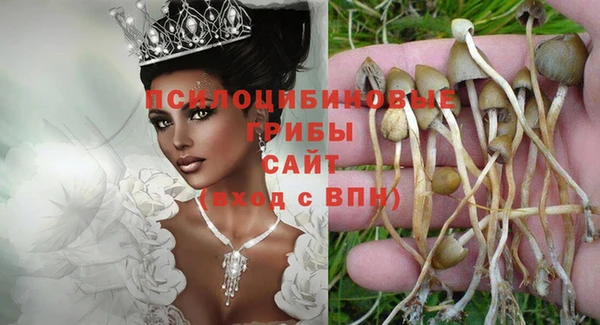 дурь Армянск