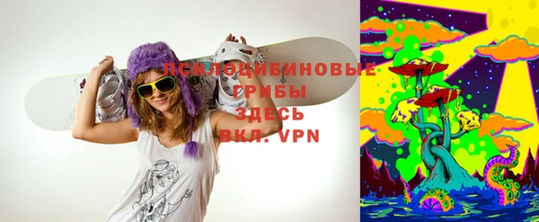 меф Арсеньев