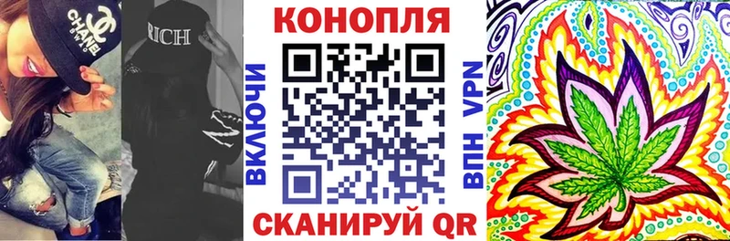 Конопля сатива  Переславль-Залесский 